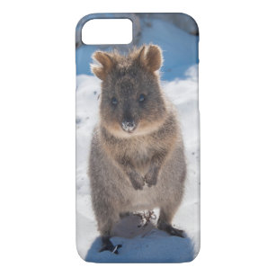 Quokka Cute Little Animal op het strand Australië iPhone 8/7 Hoesje