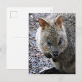 Quokka Feestdagenkaart (Voorkant / Achterkant)