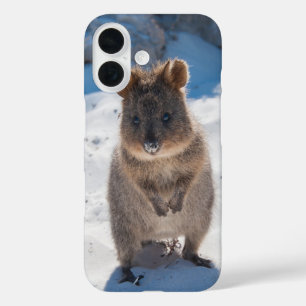 Quokka Gelukkig Dier op het Strand Australië iPhone 16 Hoesje