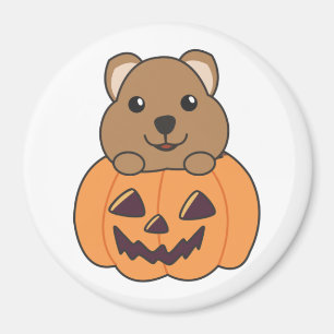 Quokka In Pompoen Schattige Quokkas Happy Hallowee Magneet