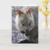 Quokka Kaart (Gele Bloem)