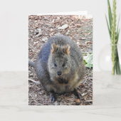 Quokka Kaart (Voorkant)