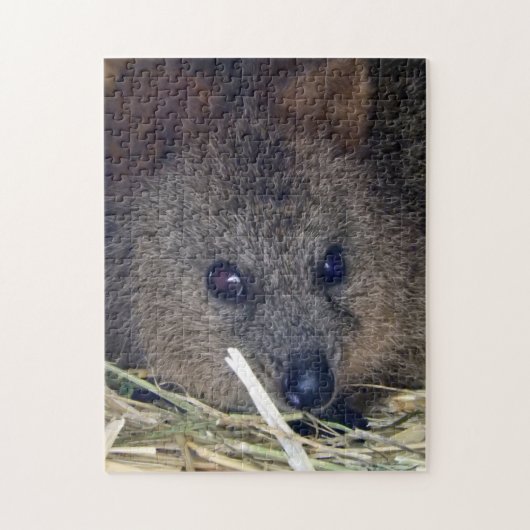 Quokka Legpuzzel (Verticaal)