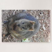 Quokka Legpuzzel (Horizontaal)
