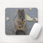 Quokka muispad muismat (Met muis)