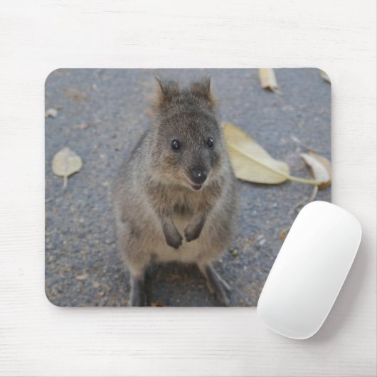 Quokka muispad muismat (Met muis)