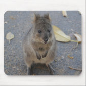 Quokka muispad muismat (Voorkant)