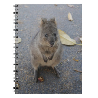 Quokka notitieboek