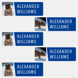 Quokka on the beach Cute Animal Photo Australia Labels