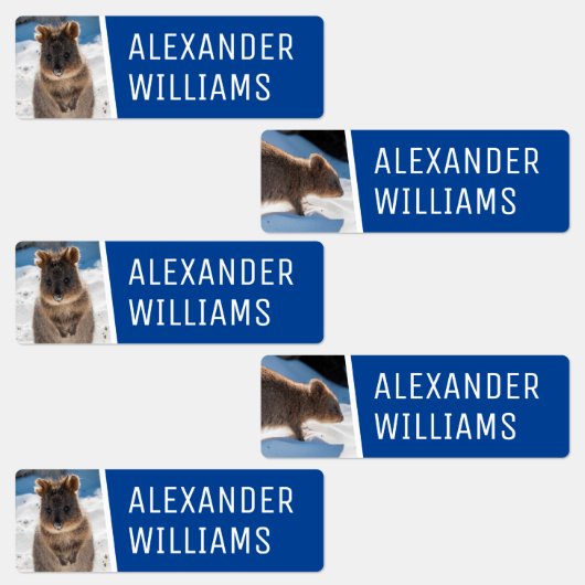 Quokka on the beach Cute Animal Photo Australia Labels (Groep)