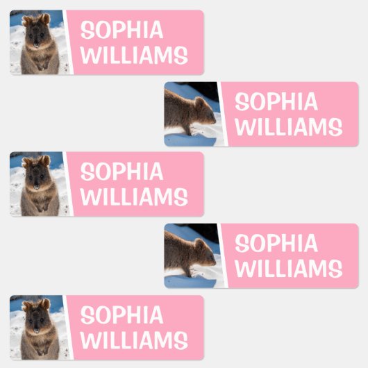 Quokka on the beach Cute Animal Photo Australia Labels (Groep)