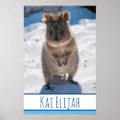 Quokka op de strand Australia Blue Boys Poster (Voorkant)