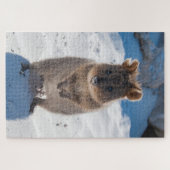 Quokka op het strand, 1014 stuks legpuzzel (Horizontaal)