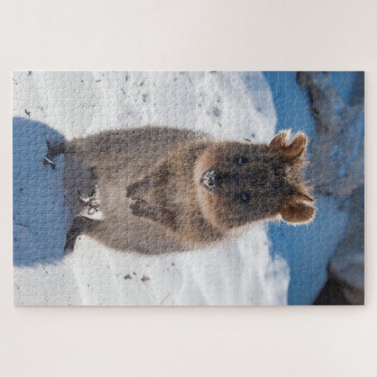 Quokka op het strand, 1014 stuks legpuzzel (Horizontaal)