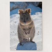 Quokka op het strand, 1014 stuks legpuzzel (Verticaal)