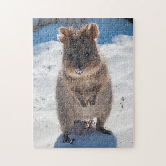 Quokka op het strand, 252 stukken legpuzzel (Verticaal)