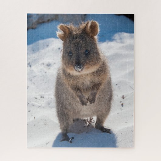 Quokka op het strand, 520 stuks legpuzzel (Verticaal)