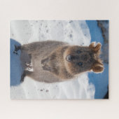 Quokka op het strand, 520 stuks legpuzzel (Horizontaal)