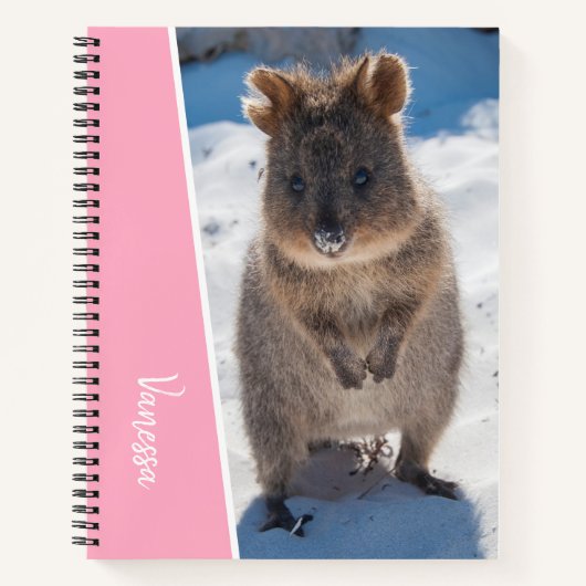 Quokka op het strand Australië, roze accent meisje Notitieboek (Voorkant)
