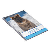 Quokka op het strand, Blue Boys Notitieboek (Rechterzijde)