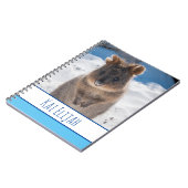 Quokka op het strand, Blue Boys Notitieboek (Linkerzijde)