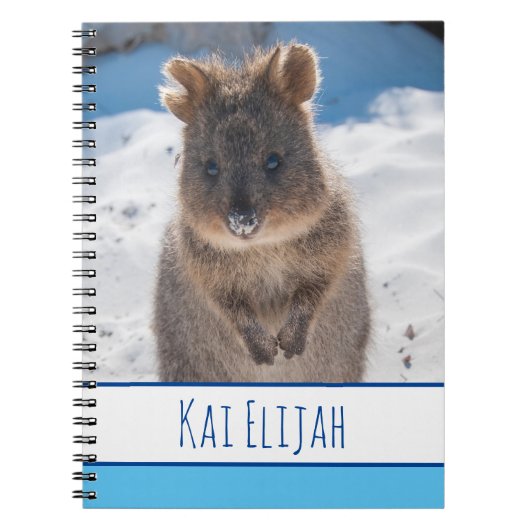Quokka op het strand, Blue Boys Notitieboek (Voorkant)