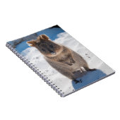 Quokka op het strand notitieboek (Rechterzijde)