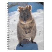 Quokka op het strand notitieboek (Voorkant)