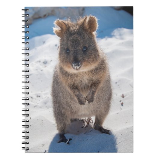 Quokka op het strand notitieboek (Voorkant)