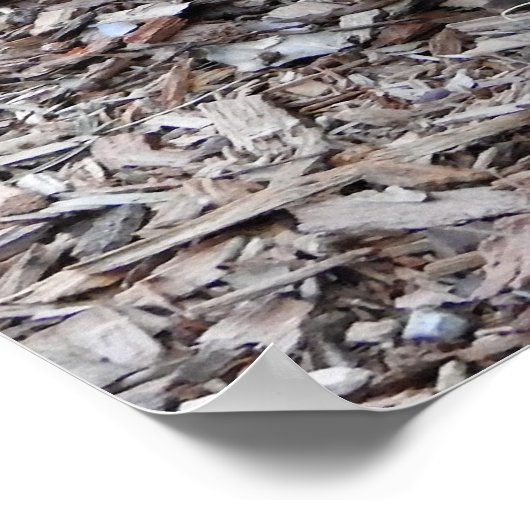 Quokka Poster (Hoek)