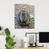 Quokka Poster (Thuiskantoor)