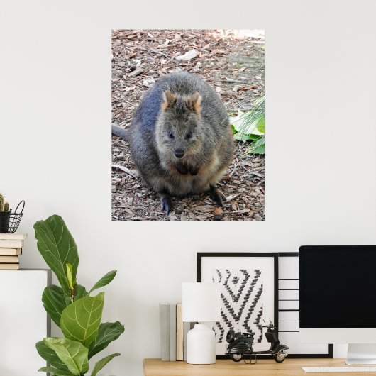 Quokka Poster (Thuiskantoor)