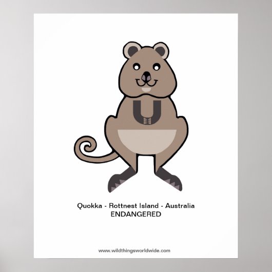 Quokka - poster (Voorkant)
