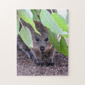 Quokka Puzzle Legpuzzel (Verticaal)
