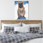 Quokka, Rottnest Island, Australië Canvas Afdruk (Insitu (Slaapkamer))