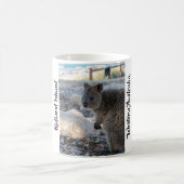 Quokka, Rottnest Island Koffiemok (Center)
