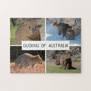 Quokka van Australië, 252 stuks Legpuzzel