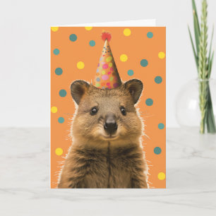 Quokka verjaardagsfeest Wenskaart Kaart