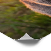 Quokka's Sunset Smile Poster (Hoek)