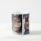Quokkas uit Australië Koffiemok (Center)