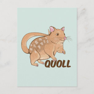 Quoll Australian Marsupial Briefkaart