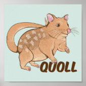 Quoll Australian Marsupial Poster (Voorkant)