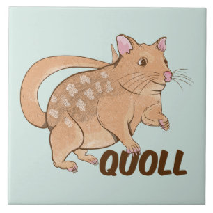 Quoll Australian Marsupial Tegeltje