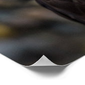 Quote Eagle Eternal Vigilance Poster (Hoek)