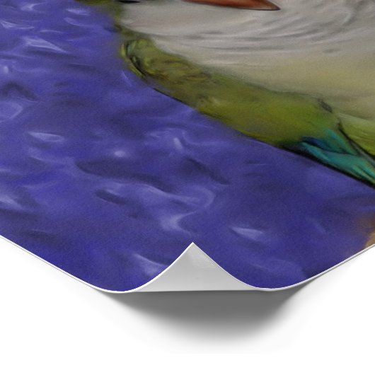 Quote Quaker Parrot Pair Friendship Poster (Hoek)