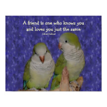 Quote Quaker Parrot Pair Friendship