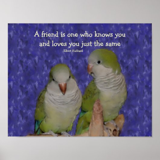 Quote Quaker Parrot Pair Friendship Poster (Voorkant)