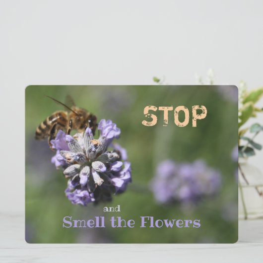 Quote Stop Smell Flowers (Staand voorkant)