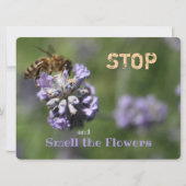 Quote Stop Smell Flowers (Voorkant)