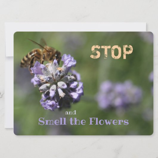 Quote Stop Smell Flowers (Voorkant)